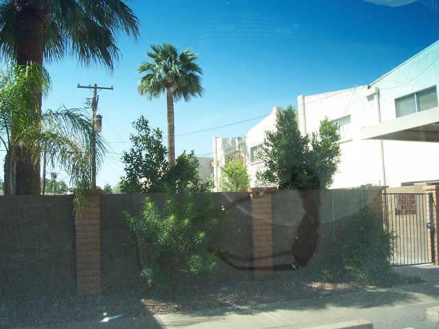 4925 N 73rd St. #10, Scottsdale, AZ 85251