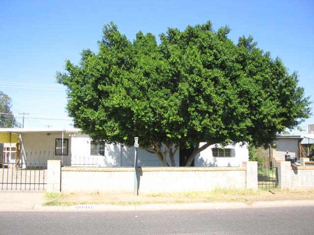 4040 W Palm Ln., Phoenix, AZ 85009