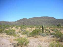 4910 S Wintersburg Rd. #105, Tonopah, AZ 85354