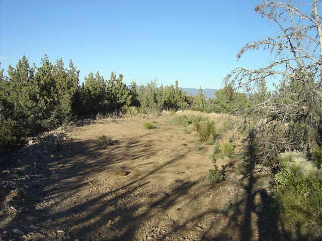S Model Creek Rd., Peeples Valley, AZ 85362