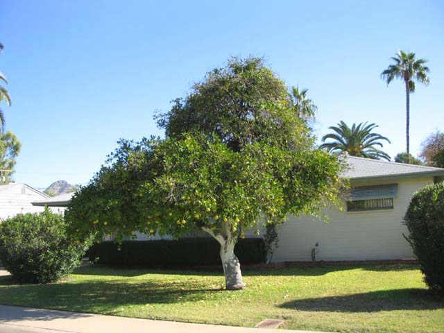 5811 N 12th Pl., Phoenix, AZ 85014