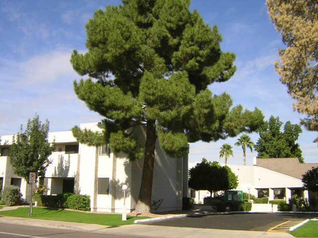 1920 W Lindner Ave. #130, Mesa, AZ 85202