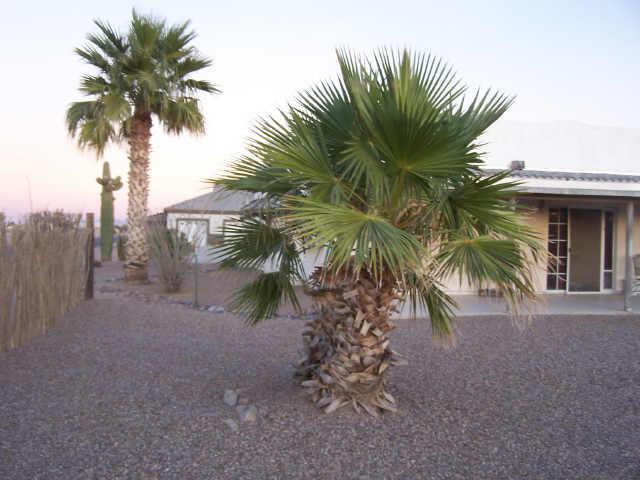 15442 S Quintin Rd Rd., Arizona City, AZ 85223