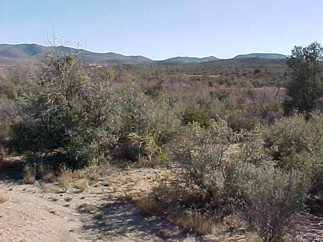 16821 W Unknown Mexican Ave. #139, Peeples Valley, AZ 86332