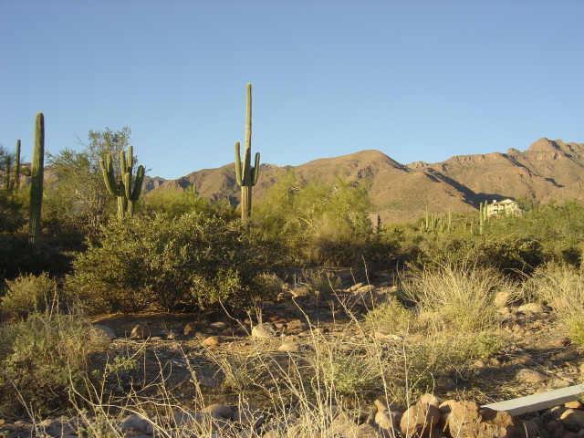 E Cloudview Ave. #34B, Gold Canyon, AZ 85218