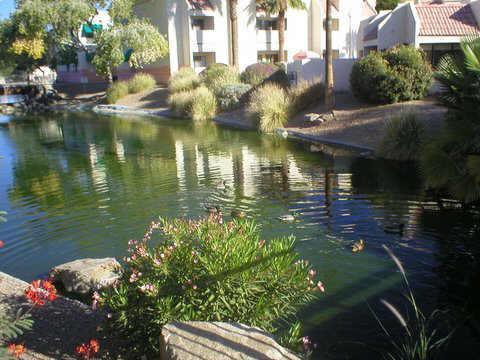 12123 W Bell Rd. #155, Surprise, AZ 85374