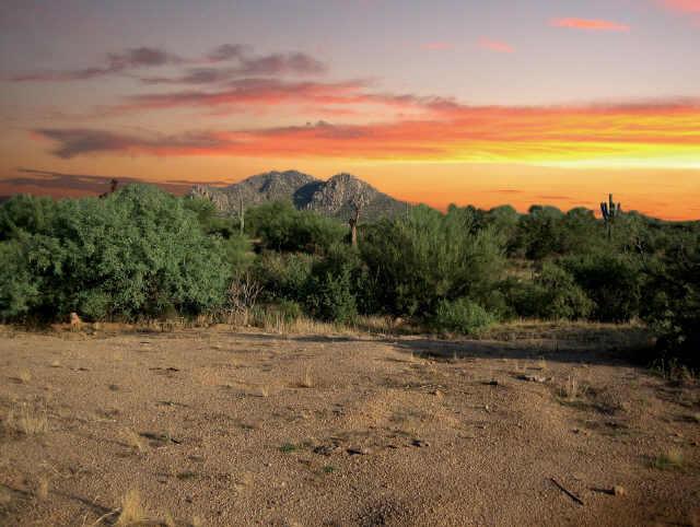 31400 N Montgomery Rd. #3, Scottsdale, AZ 85262