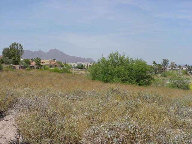 16918 E Colony Dr. #3, Fountain Hills, AZ 85268