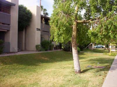 729 W Coolidge 4% St. #204, Phoenix, AZ 85013
