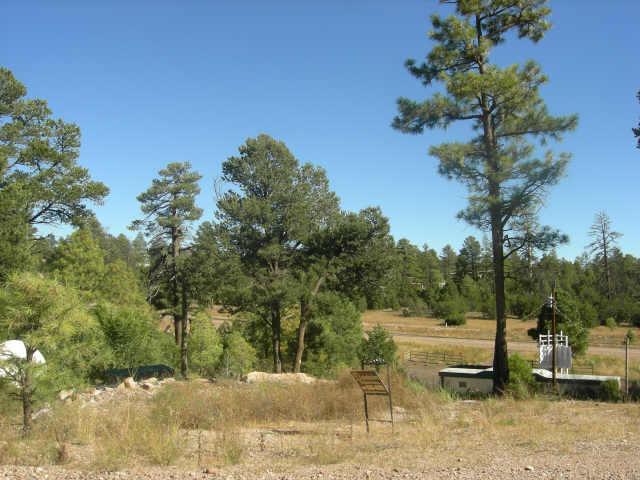 3443 N Top View Rd. #373, Heber, AZ 85933