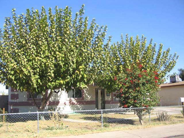 1842 W Darrel Rd., Phoenix, AZ 85041