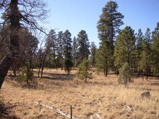 222 Sugar Pine Dr., Happy Jack, AZ 86024