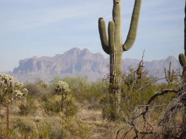 1623 N 101st. St., Mesa, AZ 85207