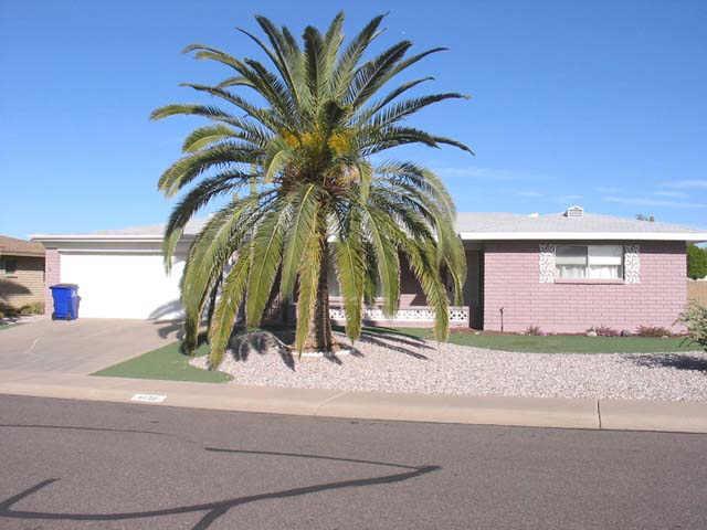 6132 E El Paso St., Mesa, AZ 85205