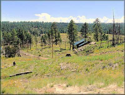 2976 E Buckskin Canyon Rd. #011A, Heber, AZ 85928