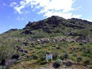 7441 N Las Brisas Ln. #9, Paradise Valley, AZ 85253