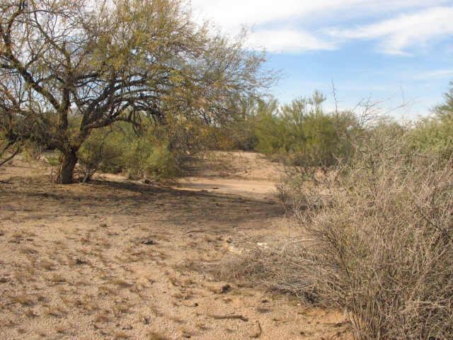 29 N 156th St. #1, Scottsdale, AZ 85262