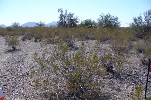 41200 W Missouri Ave. #491, Tonopah, AZ 85354