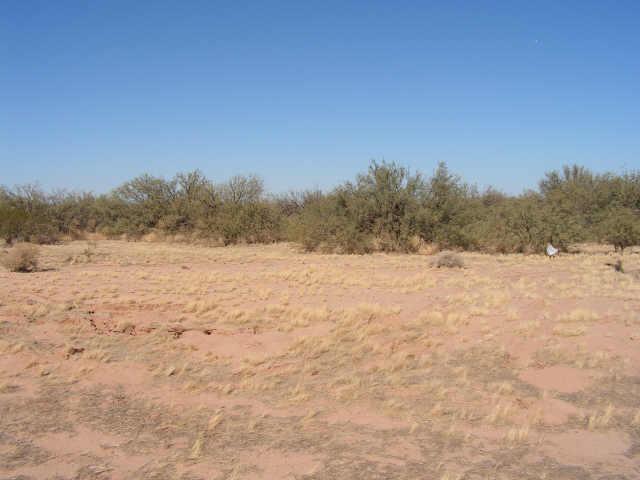 W Nugget Rd. #019, Arizona City, AZ 85223