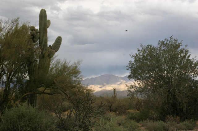 30000 N 168 St., Scottsdale, AZ 85262