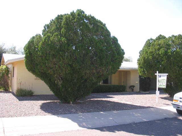 6059 E Decatur St., Mesa, AZ 85205