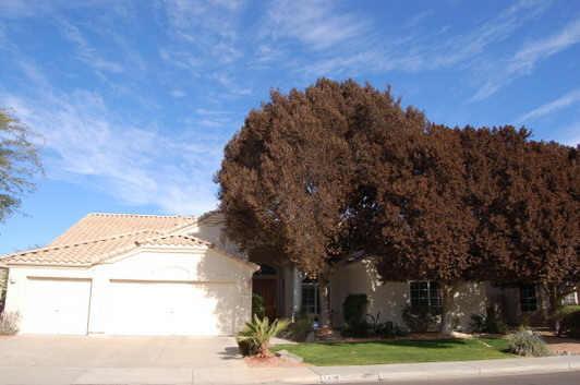 5418 E Anderson Dr., Scottsdale, AZ 85254