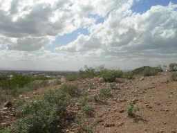 4250 N Katmai St. #5, Mesa, AZ 85215