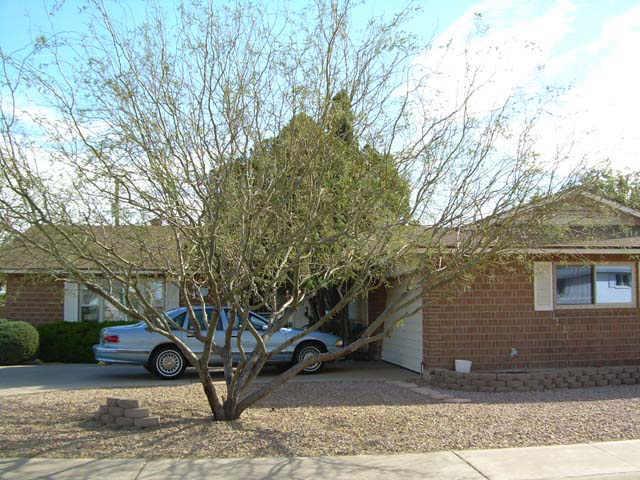 8537 E Sandalwood Dr., Scottsdale, AZ 85250