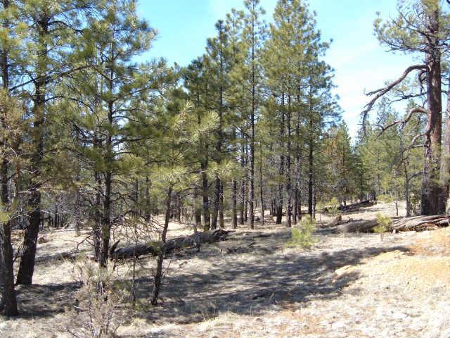 Blue Ridge Dr. #472, Happy Jack, AZ 86024