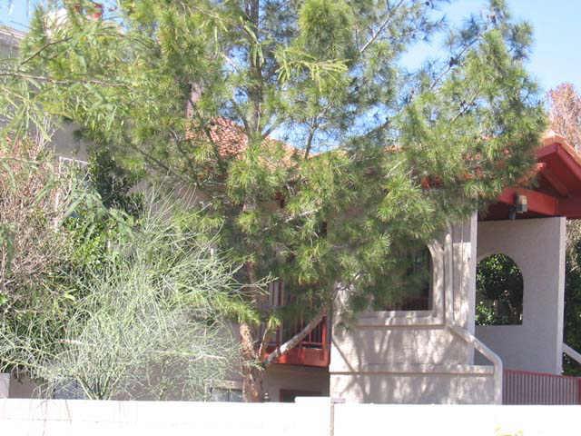 455 S Delaware Dr. #173, Apache Junction, AZ 85220
