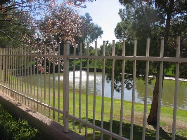 12048 N 80th Pl., Scottsdale, AZ 85260