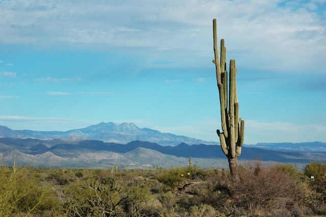 E Olesen Rd. #1, Scottsdale, AZ 85262