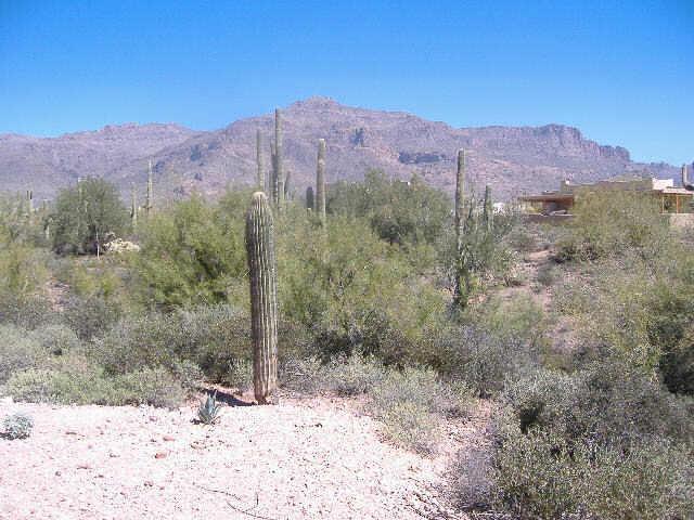 4507 S Louie Lamour Dr., Gold Canyon, AZ 85118