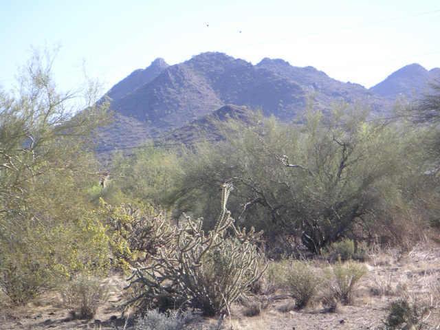 36800 N 27th St. #3, Cave Creek, AZ 85331