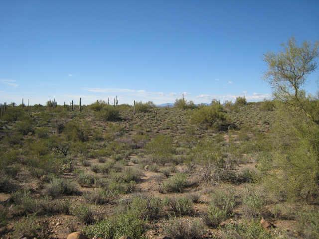 SE Hwy 60, 1 M S Of Rest Area Rd., Wickenburg, AZ 85390