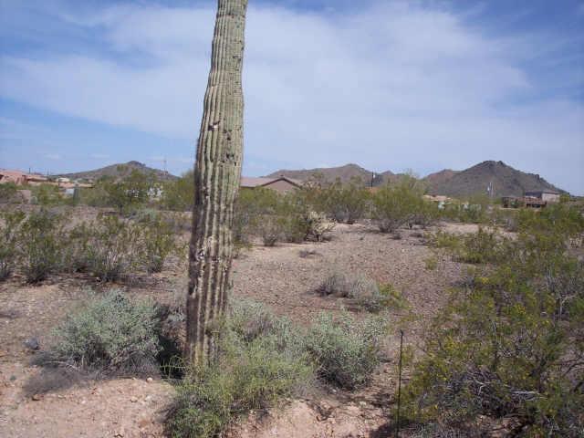 600 W Yearling Rd., Phoenix, AZ 85085