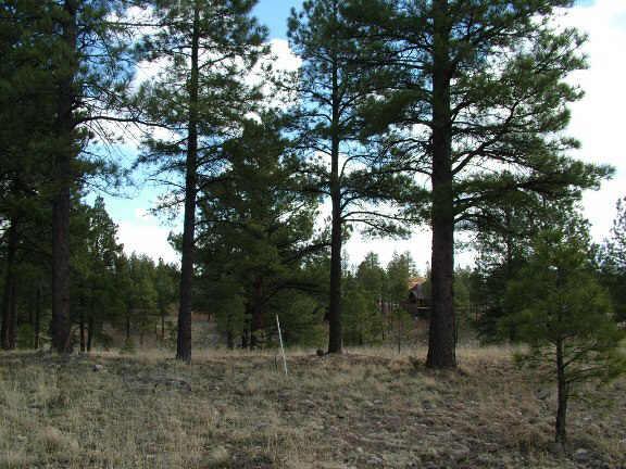 3291 S Tehama Cir. #45, Flagstaff, AZ 86001