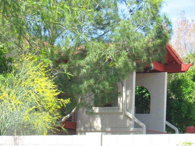 455 S Delaware Dr. #156, Apache Junction, AZ 85120