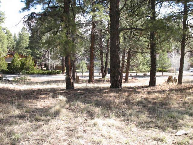 3341 S Little Dr. #439, Flagstaff, AZ 86001