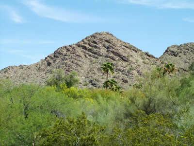 8202 N Mockingbird Ln. #1, Paradise Valley, AZ 85253