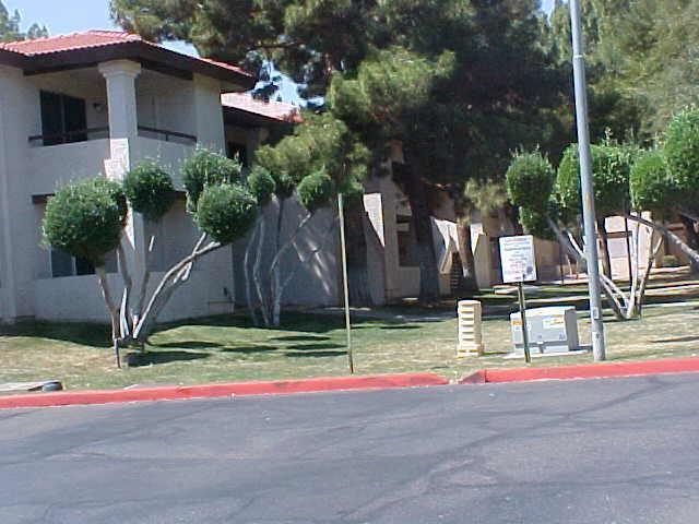 10610 S 48th St. #2079, Phoenix, AZ 85044