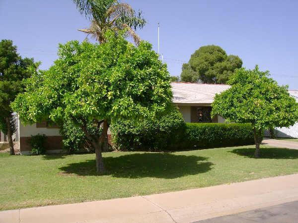 7408 E Belleview St., Scottsdale, AZ 85257