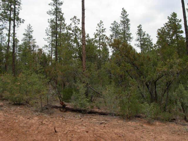 71 Forest Ter., Pine, AZ 85544