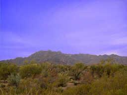 27226 N 150th St., Scottsdale, AZ 85262