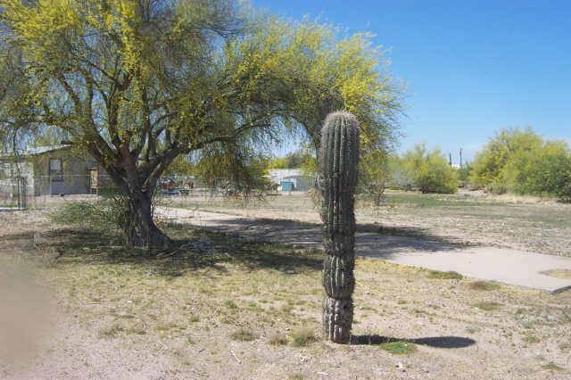 330 N Wickiup Rd., Apache Junction, AZ 85219