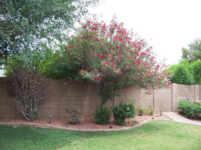 274 W Pecan Pl., Tempe, AZ 85284