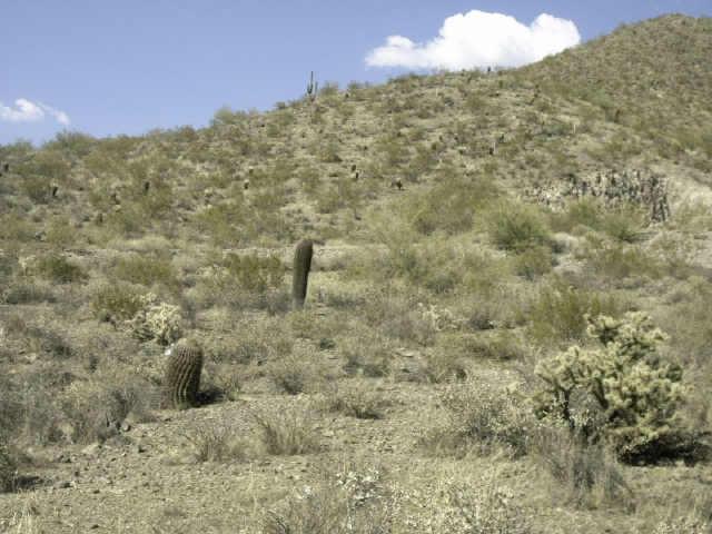 615 E Quartz Rock Rd. #1, Phoenix, AZ 85085