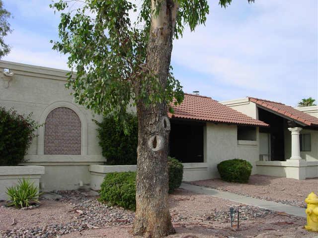 520 W Tonopah Dr., Phoenix, AZ 85027