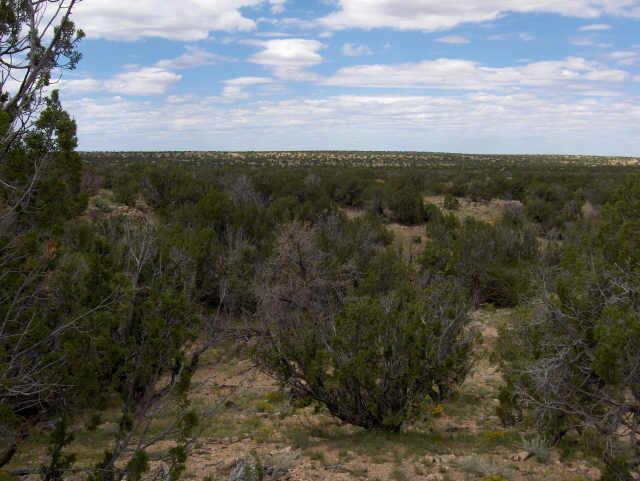 13 Chevelon Retreat #022, Heber, AZ 85928