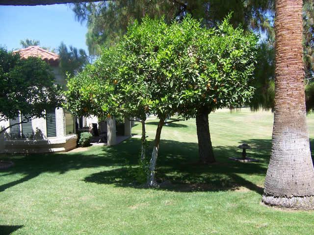 604 S Palo Verde Way, Mesa, AZ 85208